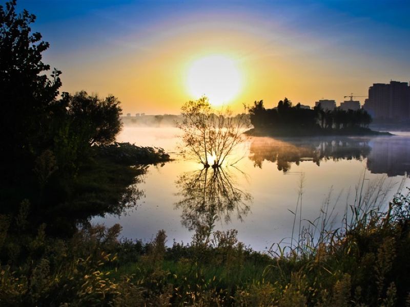 白莲湖湿地公园