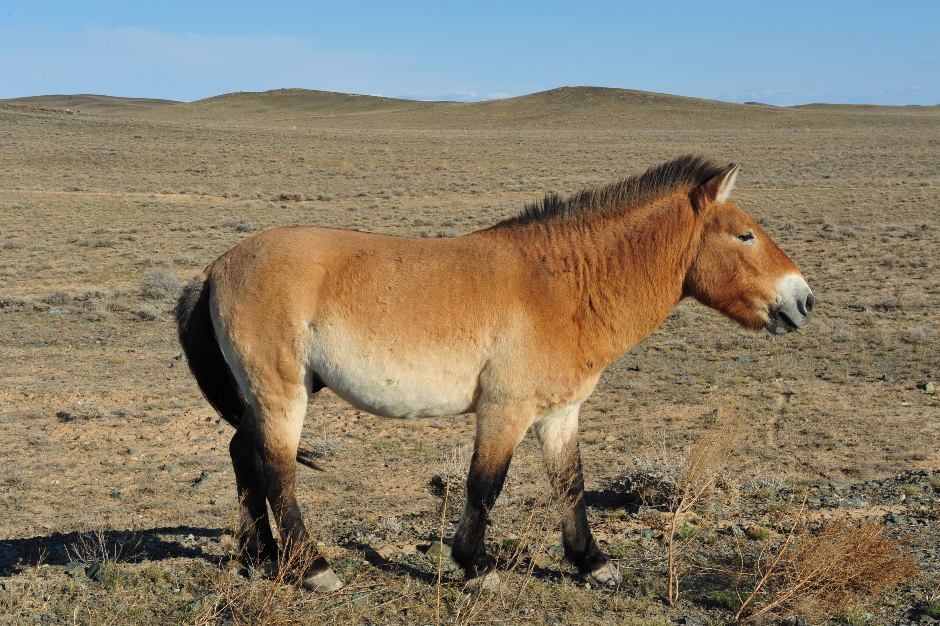 与朋友的新疆14日深度游 人均11000的自驾游 含出行