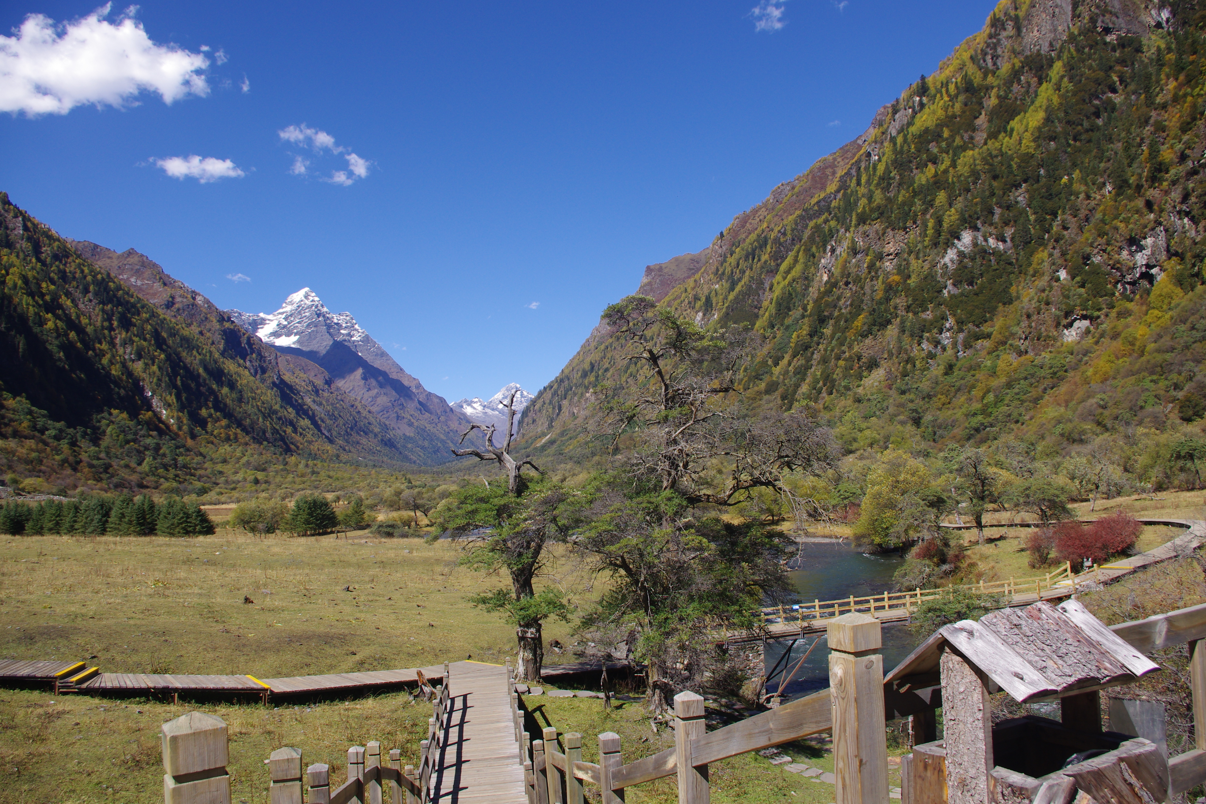 四姑娘山自虐之旅