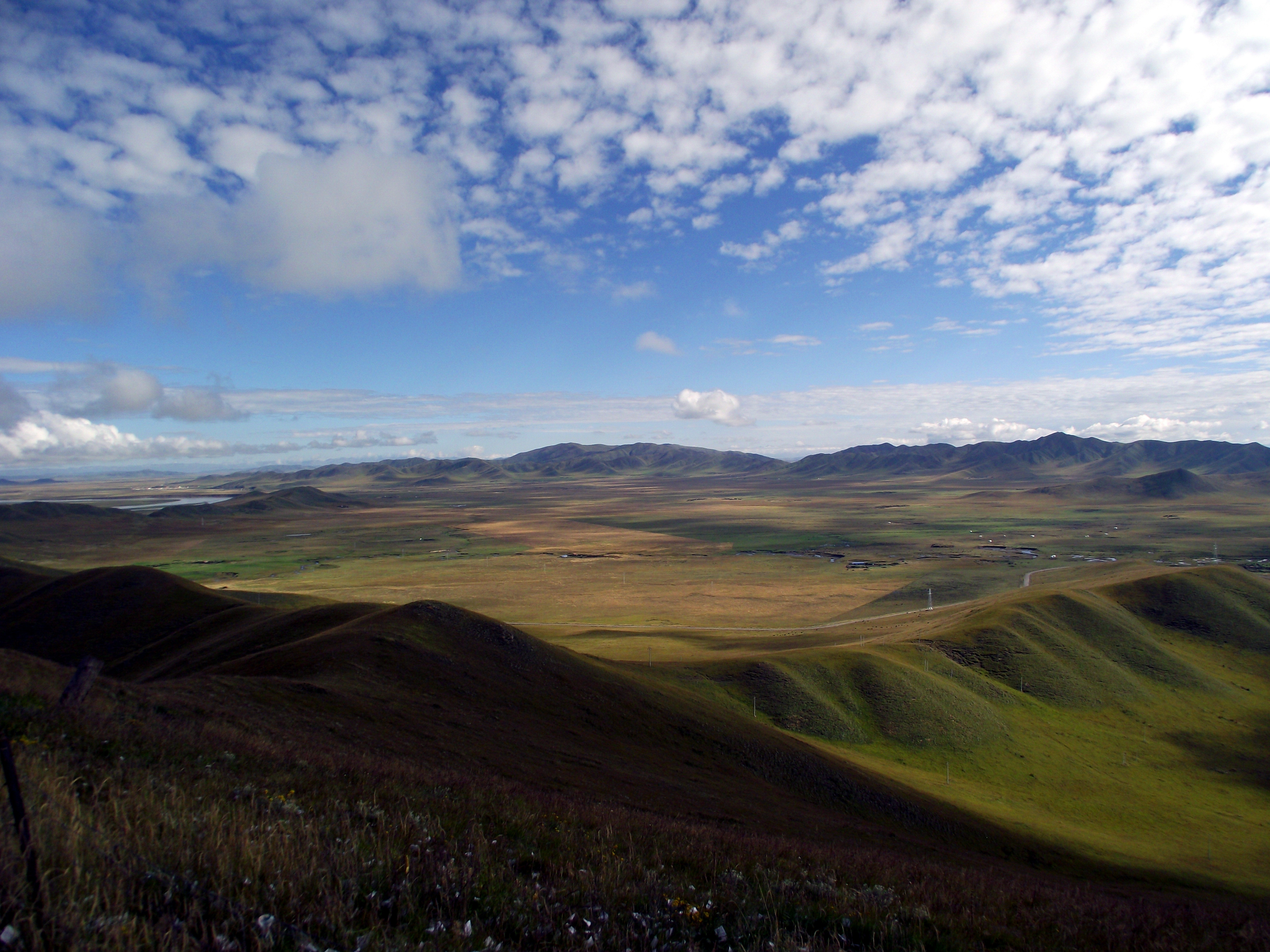 成都出发 若尔盖草原,花湖,九曲黄河第一弯,唐克藏寺2日游
