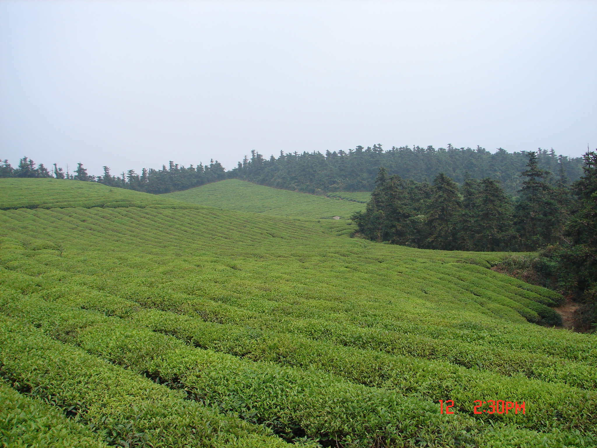 東錢湖福泉山景區