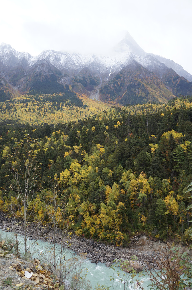 老老小小深秋西藏七日游(成都飞林芝进,拉萨飞