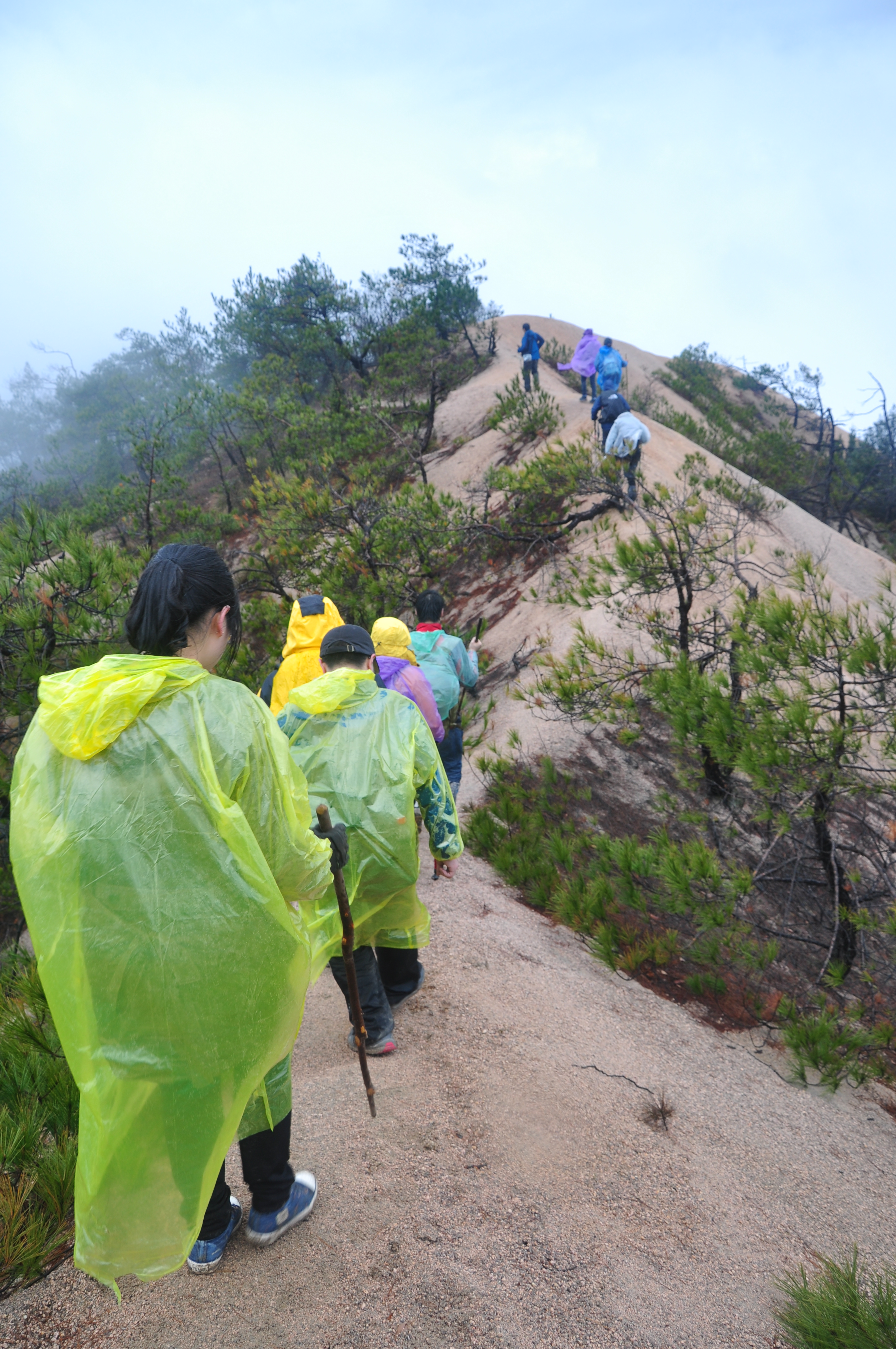 徒步龙须山,行走胡氏宗祠