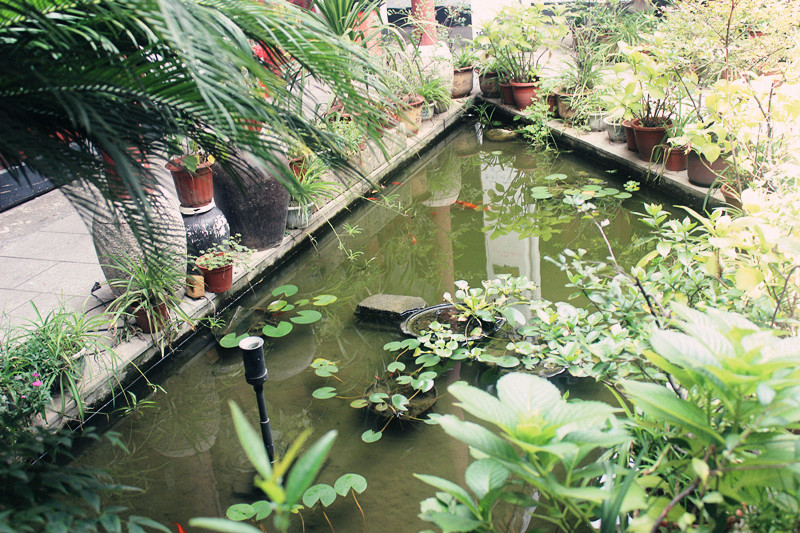 三尺剑,六钧弓~人文游绍兴