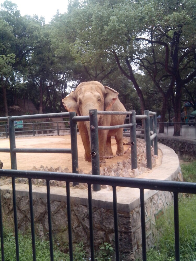 溫州動物園