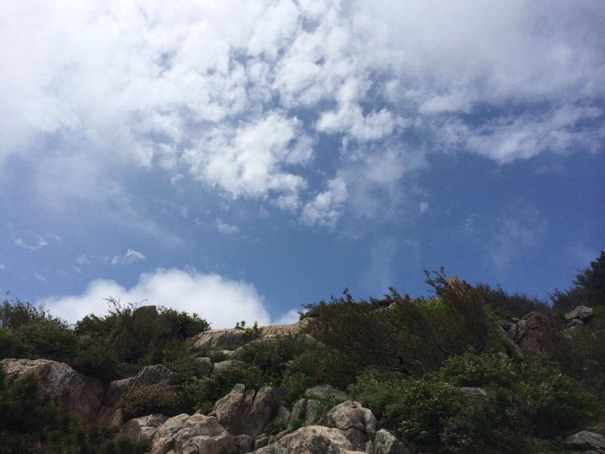 雨中登泰山