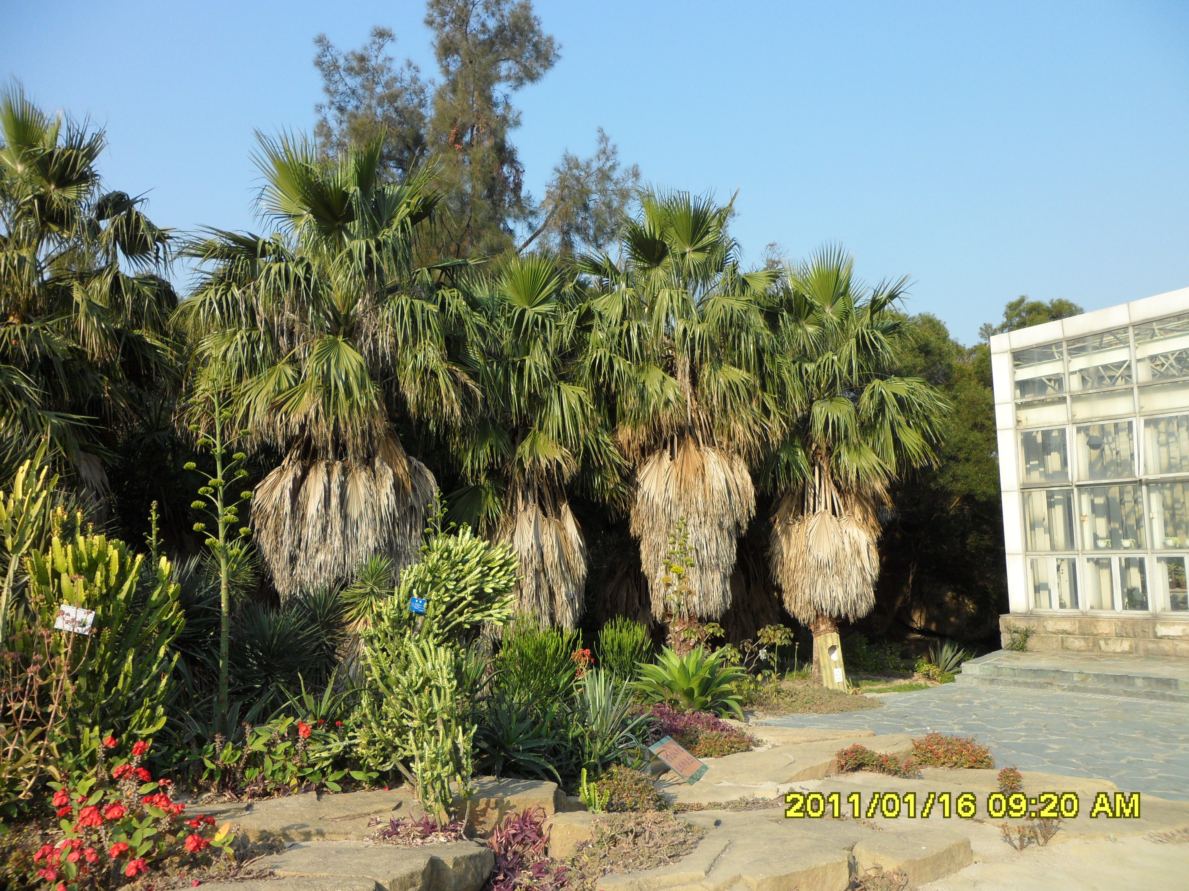 廈門園林植物園