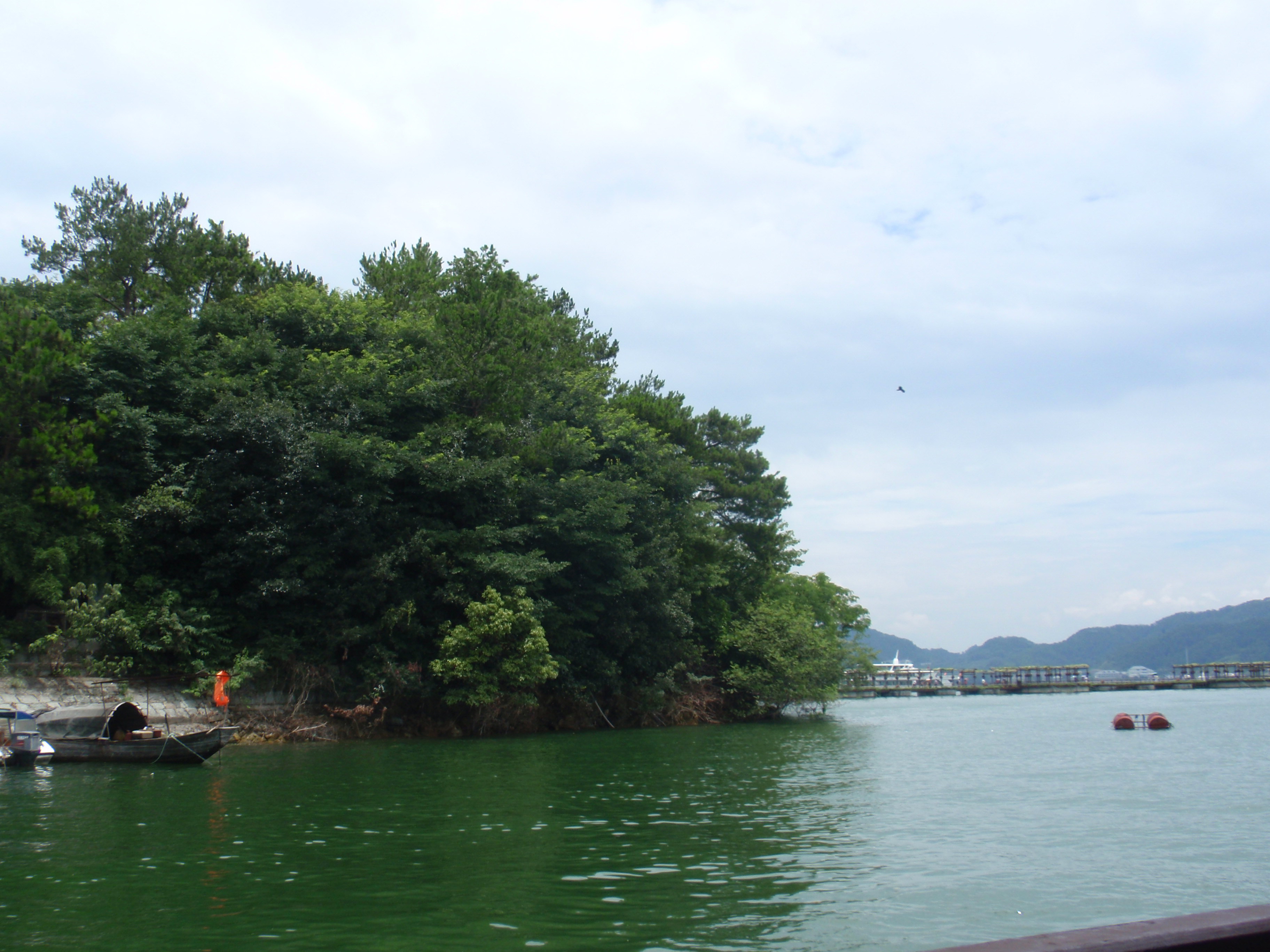 千島湖龍山島好玩嗎,千島湖龍山島景點怎麼樣_點評_評價【攜程攻略】