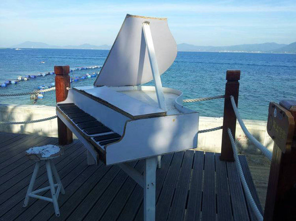 海边钢琴唯美真实图片图片
