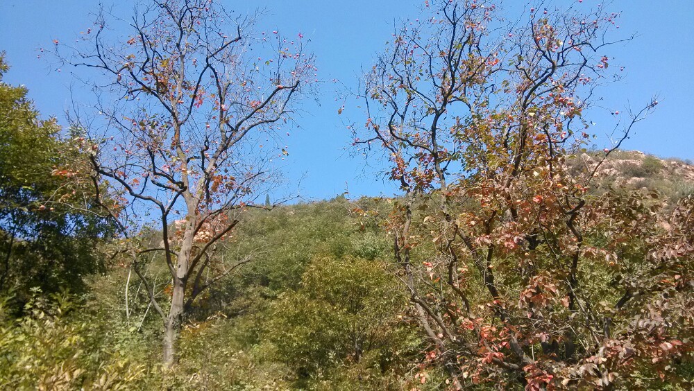 滎陽環翠峪風景區好玩嗎,滎陽環翠峪風景區景點怎麼樣_點評_評價