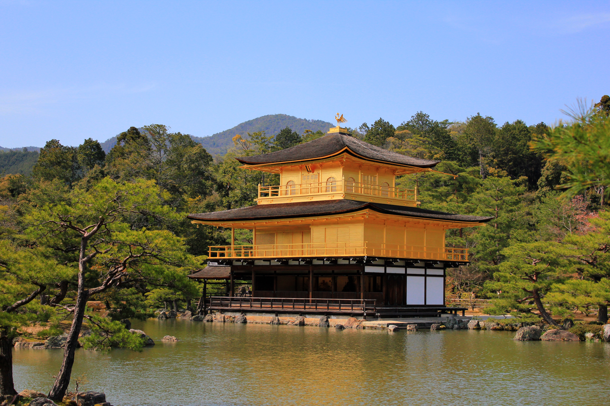 日本关西樱花季—赏樱与美食之旅(大阪/京都/奈良)