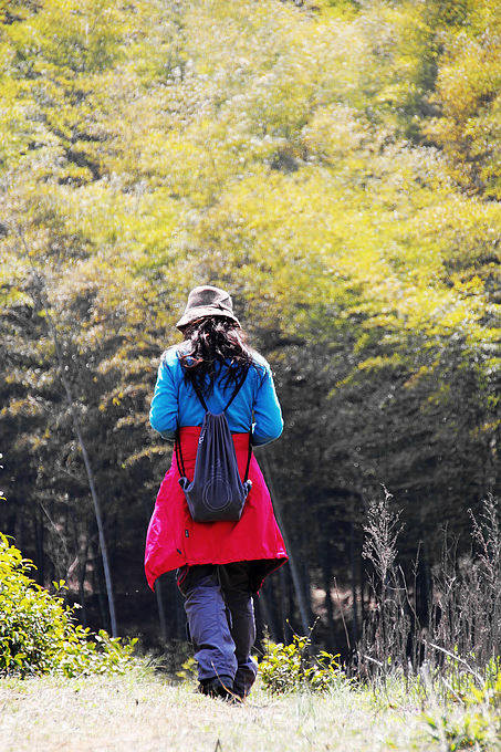 窝窝在宜兴--茶山漫步