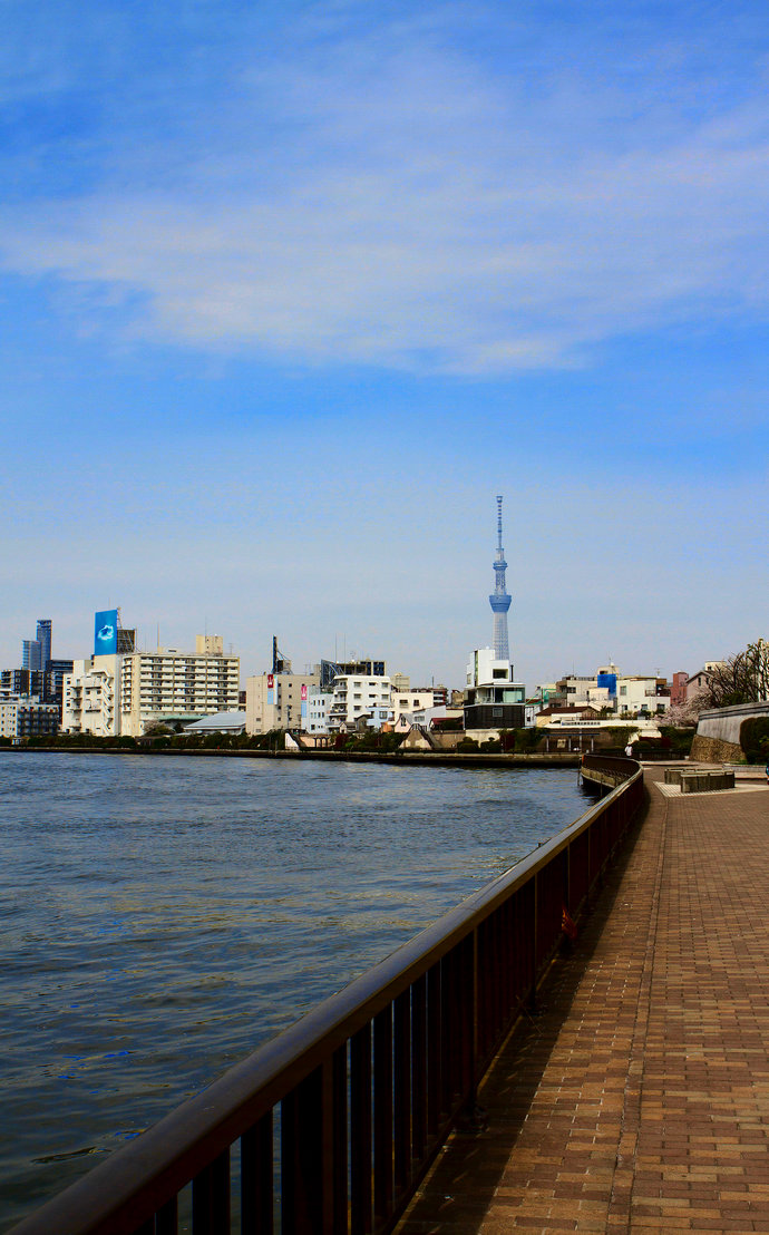 隅田川