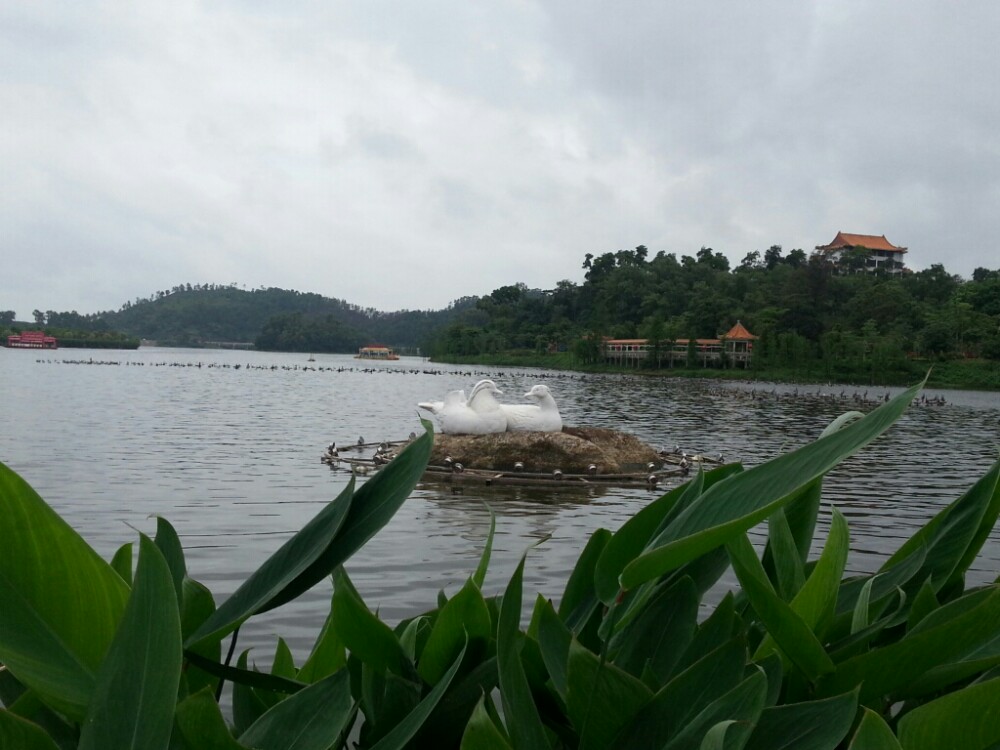 陽江鴛鴦湖公園好玩嗎,陽江鴛鴦湖公園景點怎麼樣_點評_評價【攜程