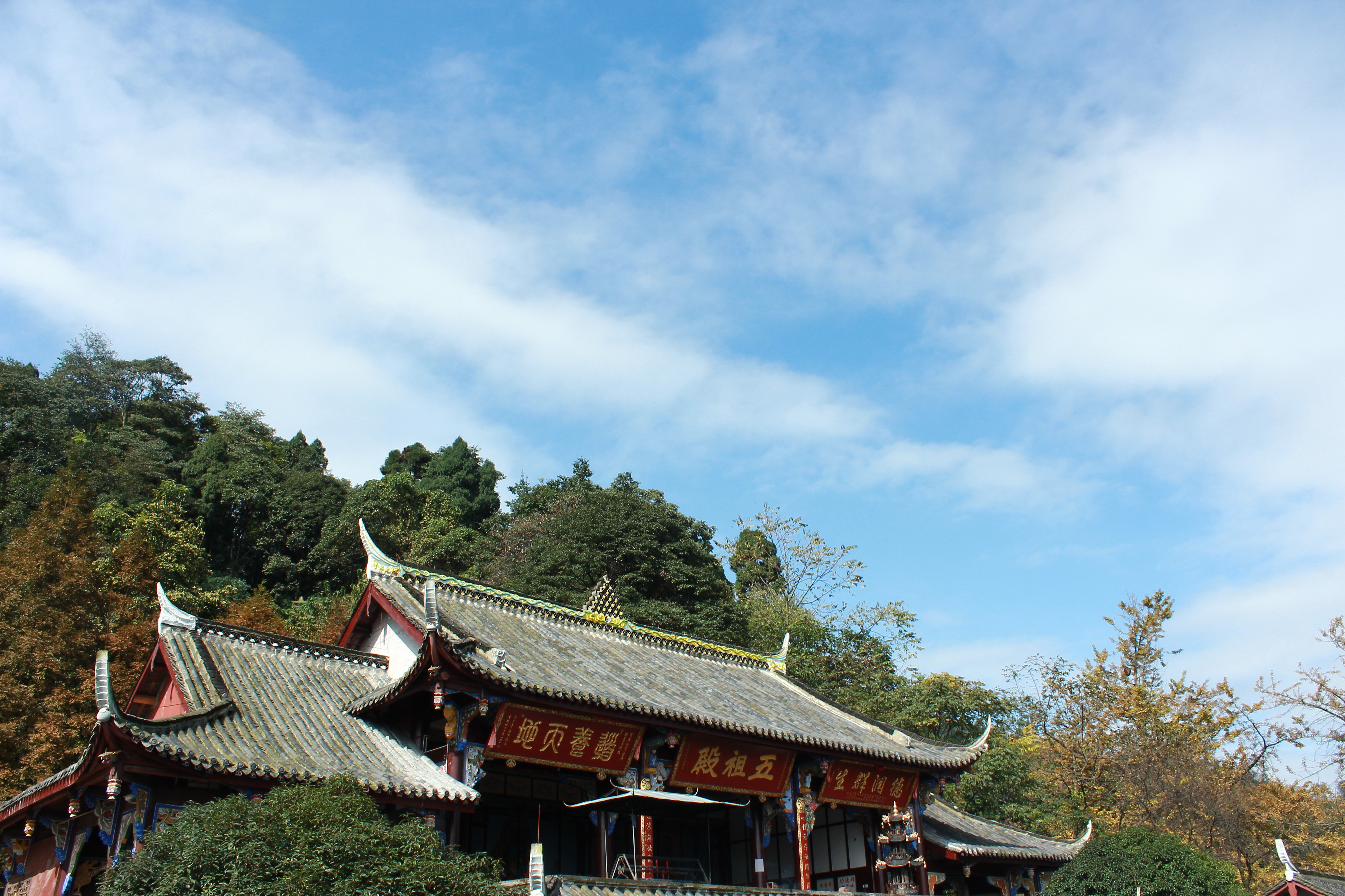 成都的風景