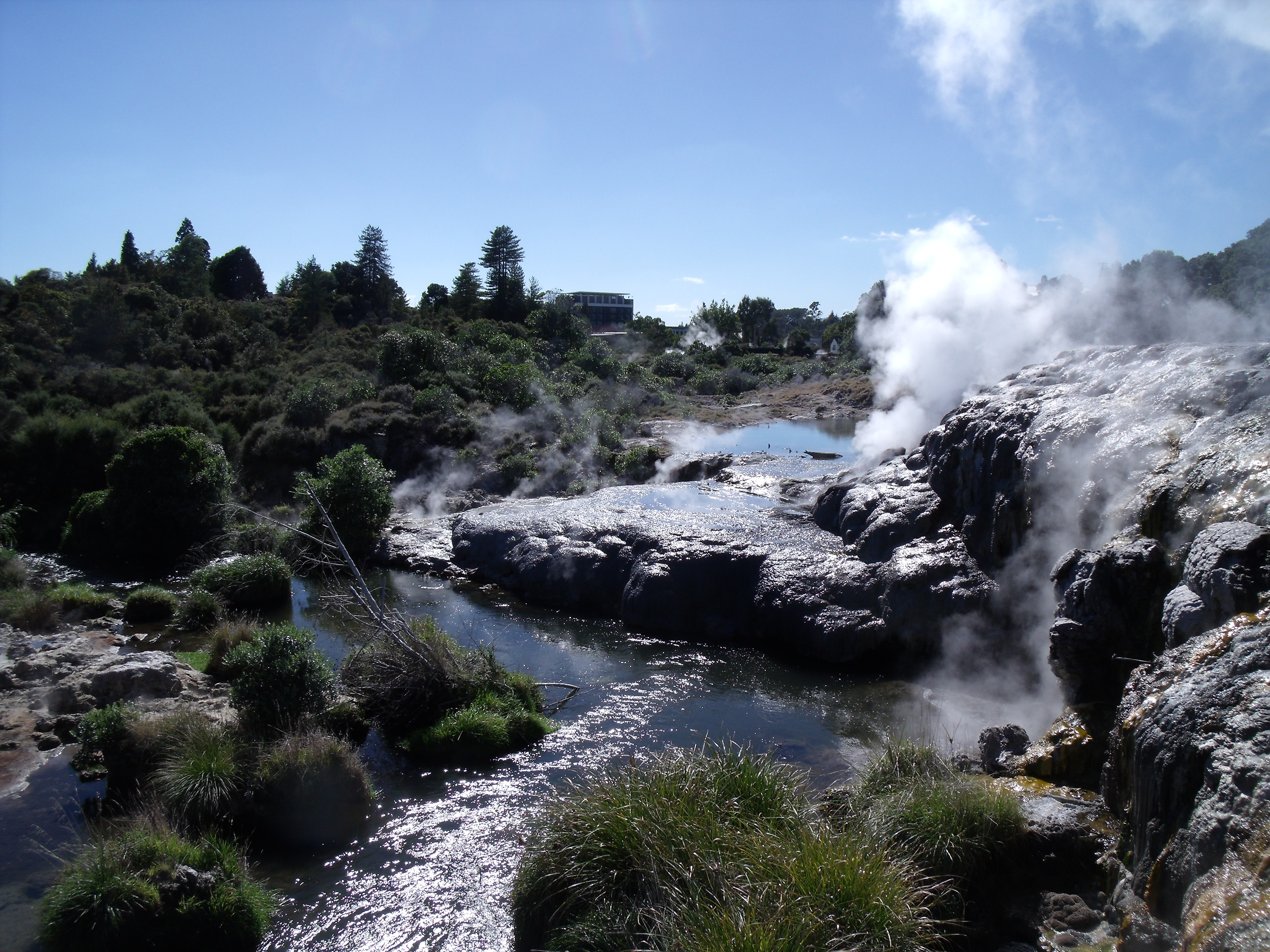 新西兰罗托鲁阿地热公园 - 罗托鲁瓦游记攻略【携程攻略】
