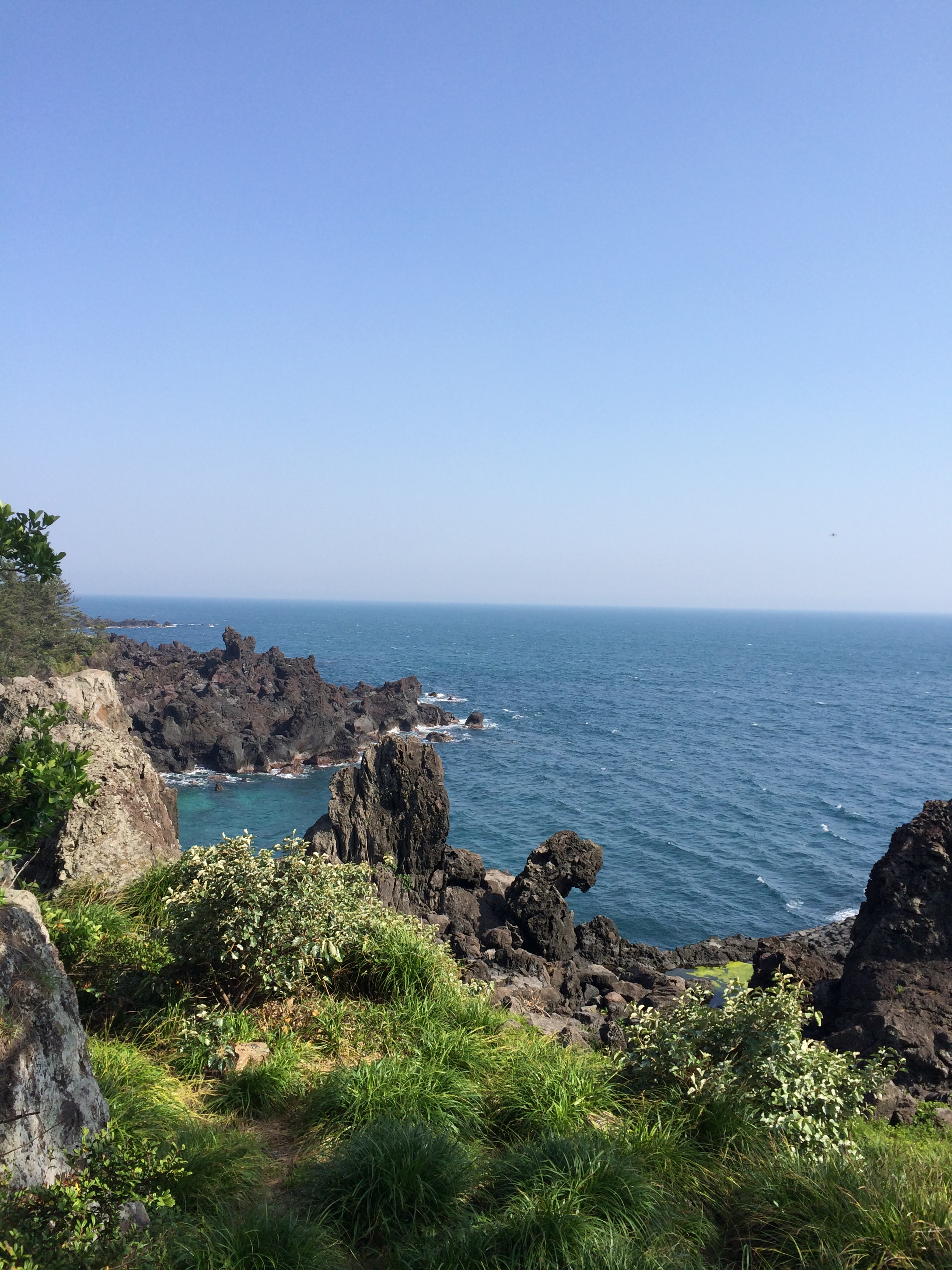 到韓國的夏威夷濟州島去 - 濟州島遊記攻略 - 攜程社區