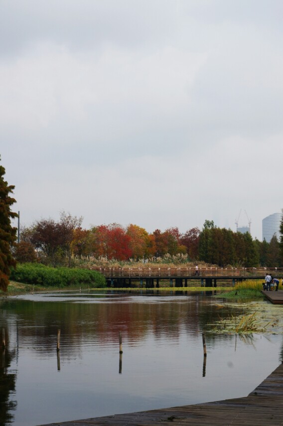 【攜程攻略】上海世博後灘溼地公園適合家庭親子旅遊嗎,世博後灘溼地