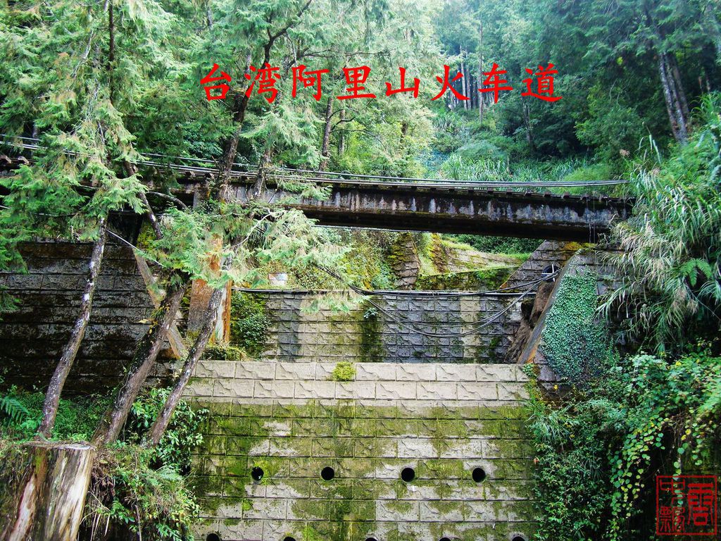 台湾旅游的观感之四 阿里山