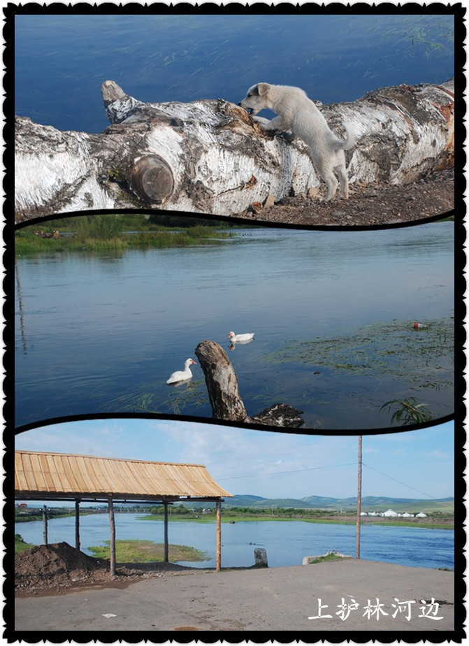 呼伦贝尔的8月--半是雨水半是晴
