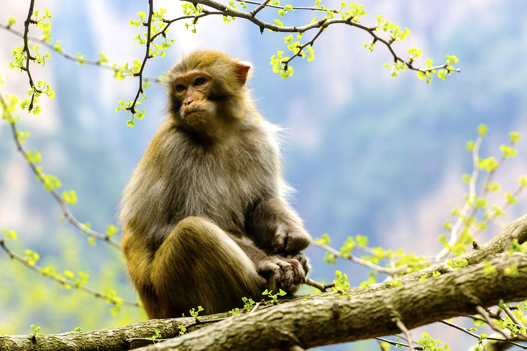 【湘西行】烟雨湘西行