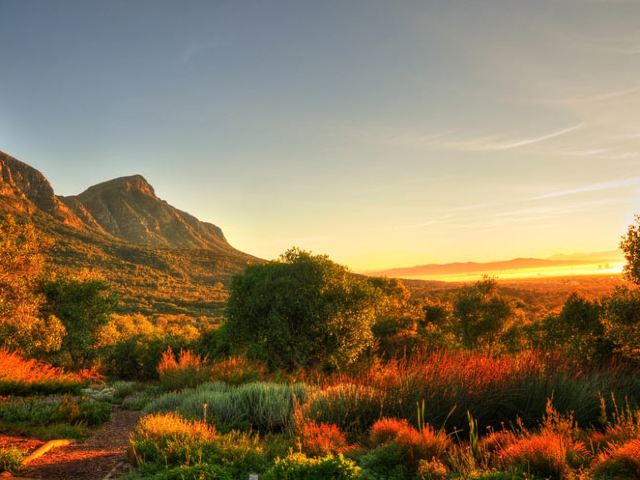 康斯坦博西植物园