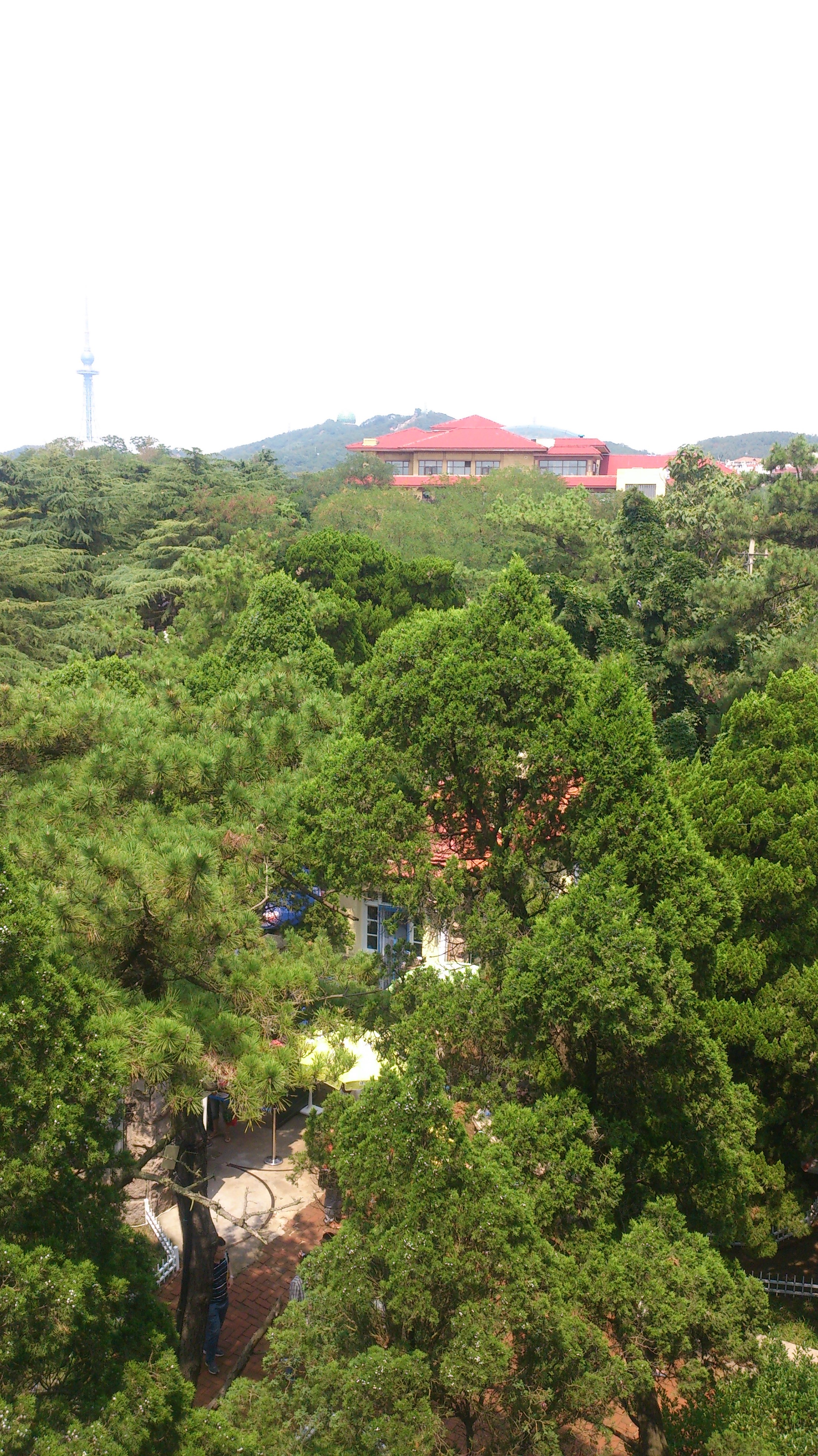 【携程攻略】青岛八大关适合情侣出游旅游吗,八大关情侣出游景点推荐