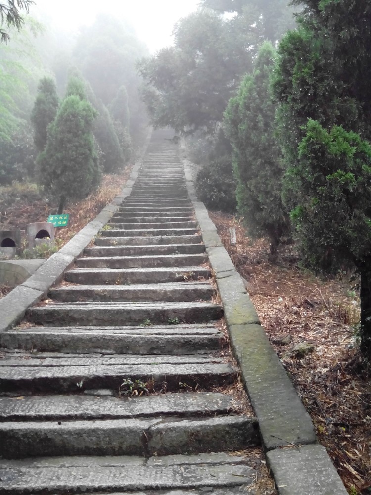 黑麋峰森林公园