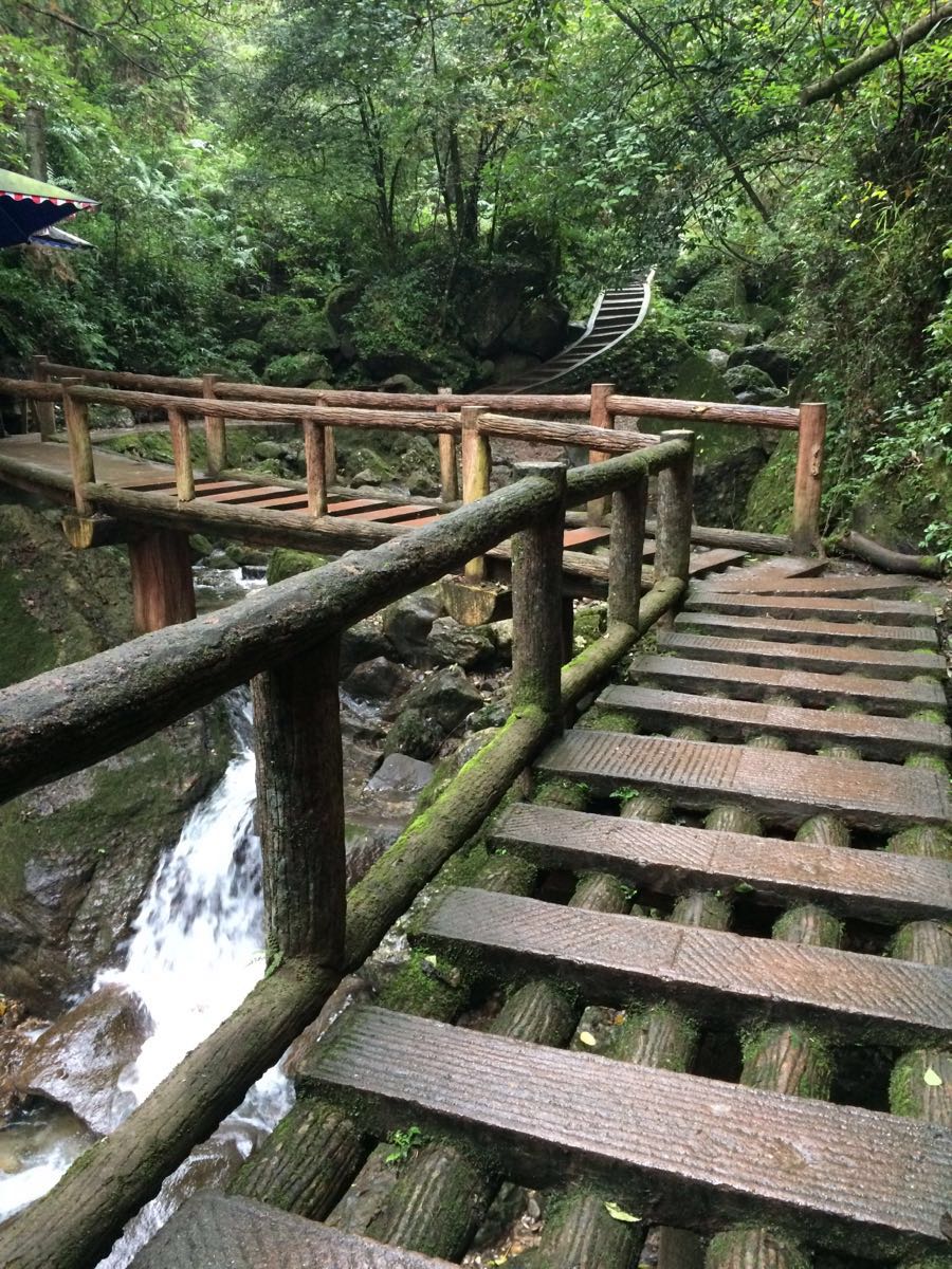 【攜程攻略】青城山青城後山適合家庭親子旅遊嗎,青城後山家庭親子