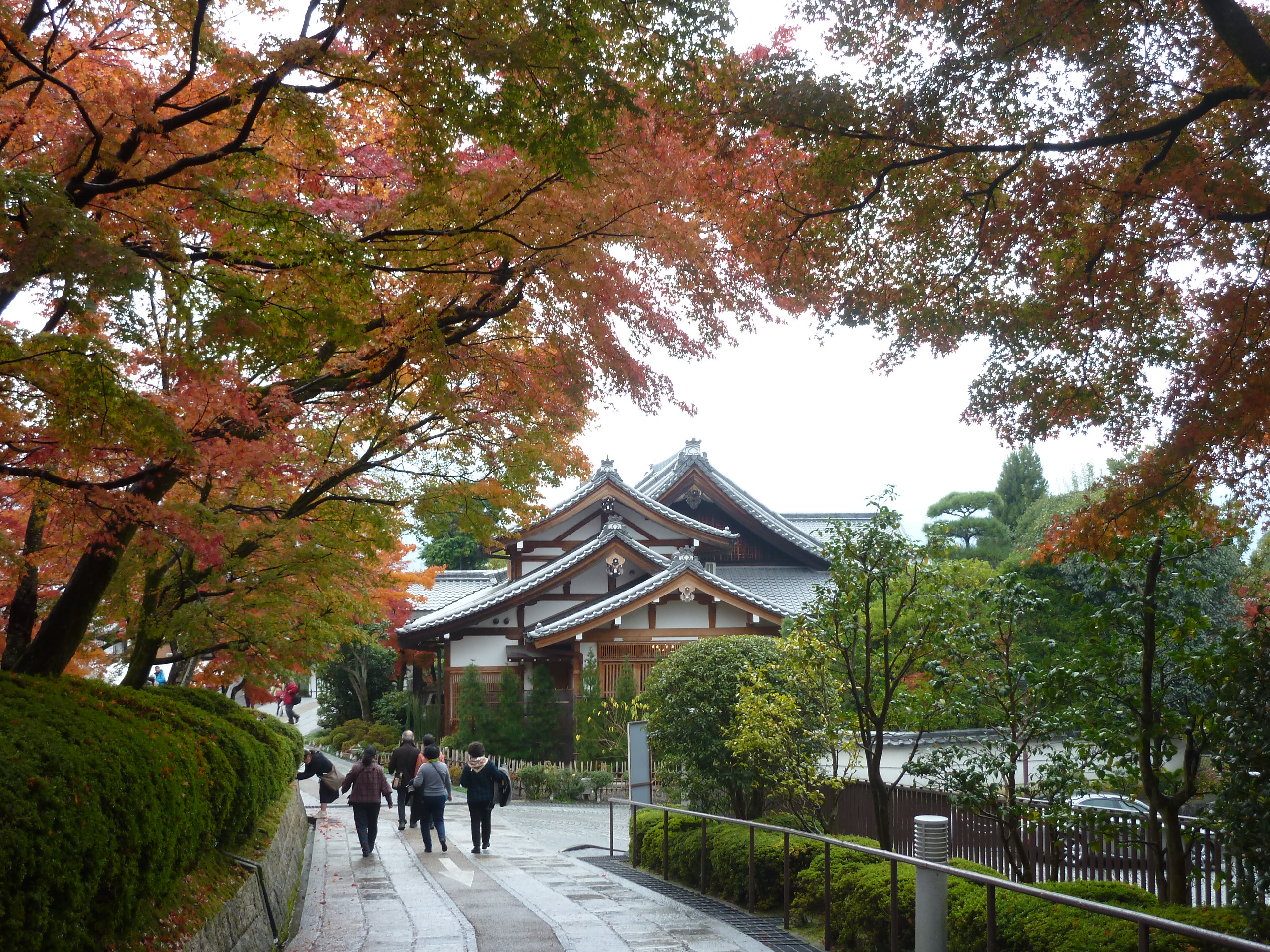 11月下旬的日本京都清水寺,除了古老的寺院建筑,还有色彩明亮的红叶