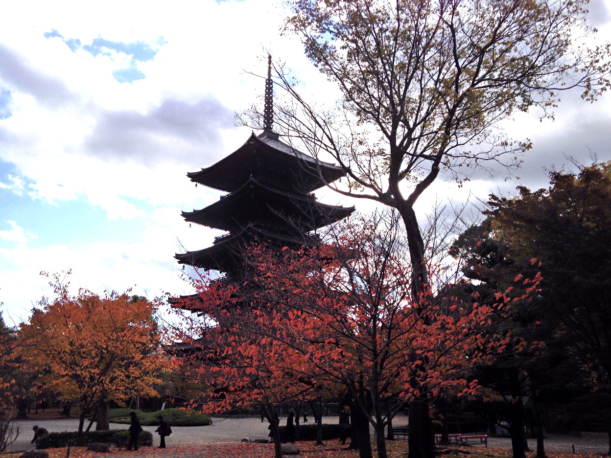 【携程攻略】近畿地方京都府京都东寺好玩吗,近畿地方