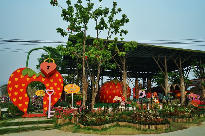 儋州南丰草莓园图片