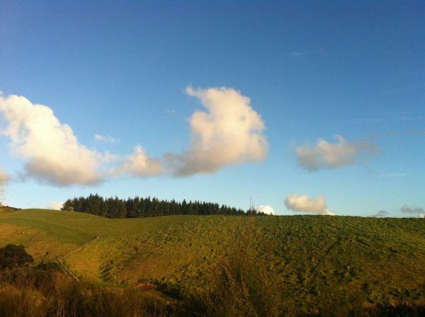 边做义工边旅行の新西兰环保义工体验报告