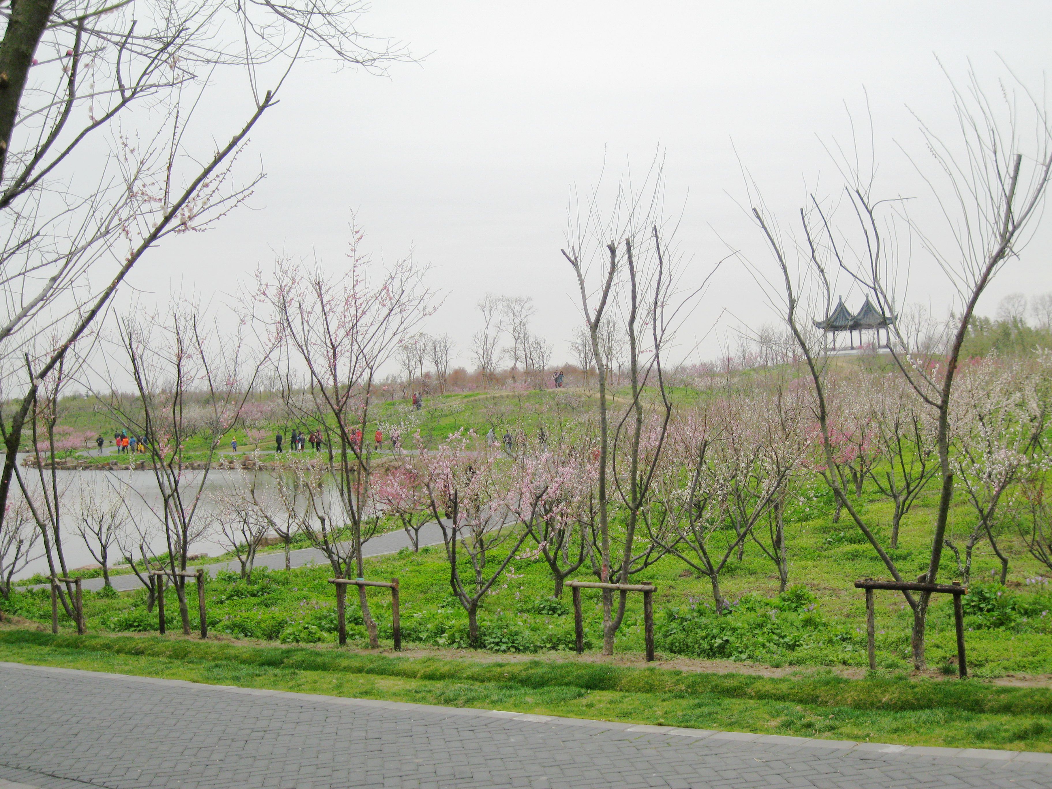 冷艳芳径 冷艳芳径,主干道可是通向楚