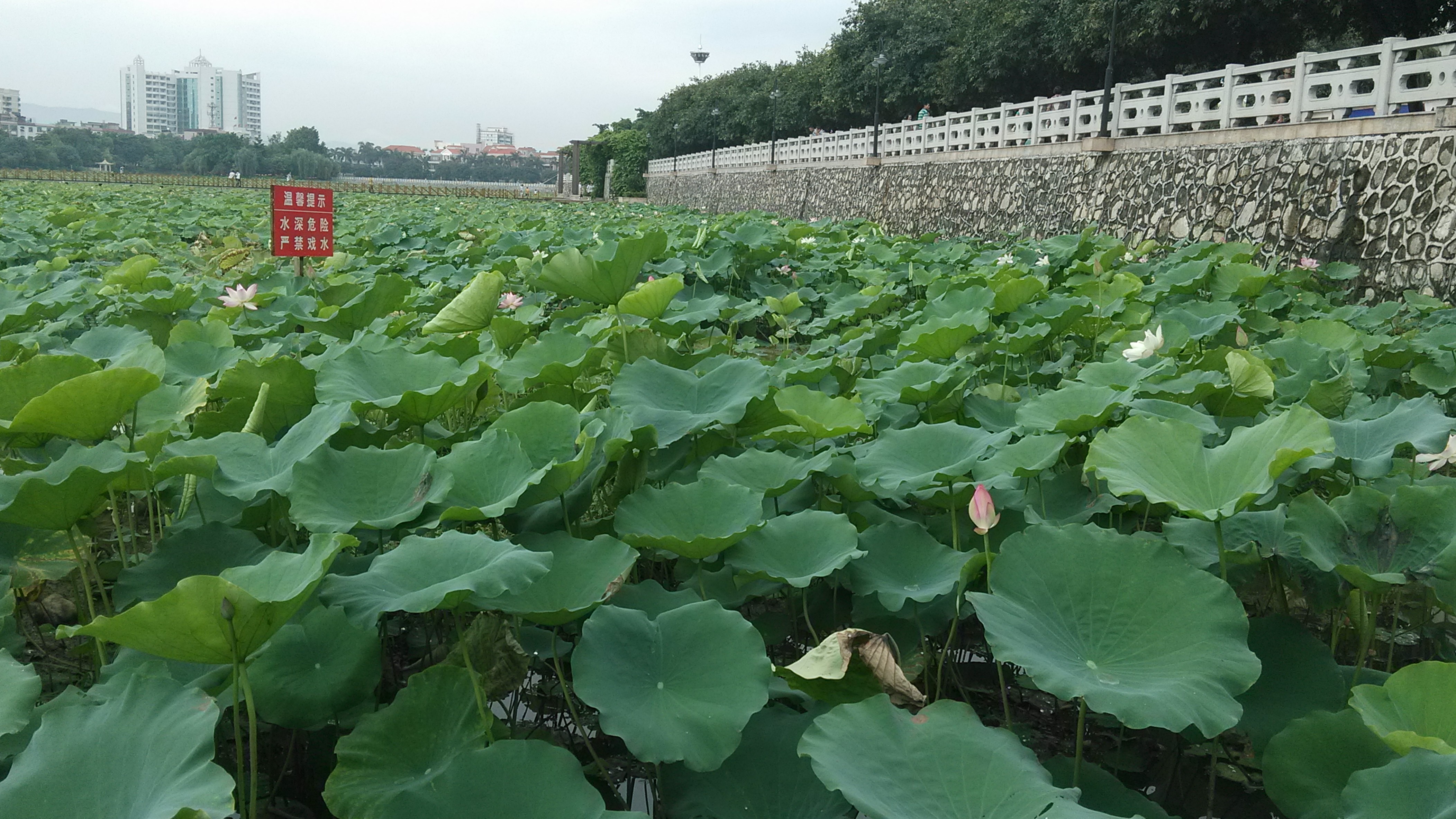 东莞桥头镇~·和朋友清凉度一周末去