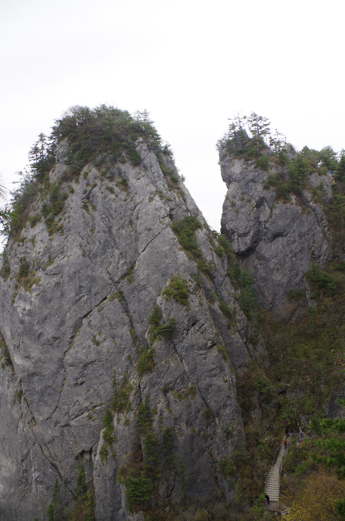 山阳县有多少人口_山阳县南宽坪镇窑口村村民举报村支书贪污数月无人过问(3)