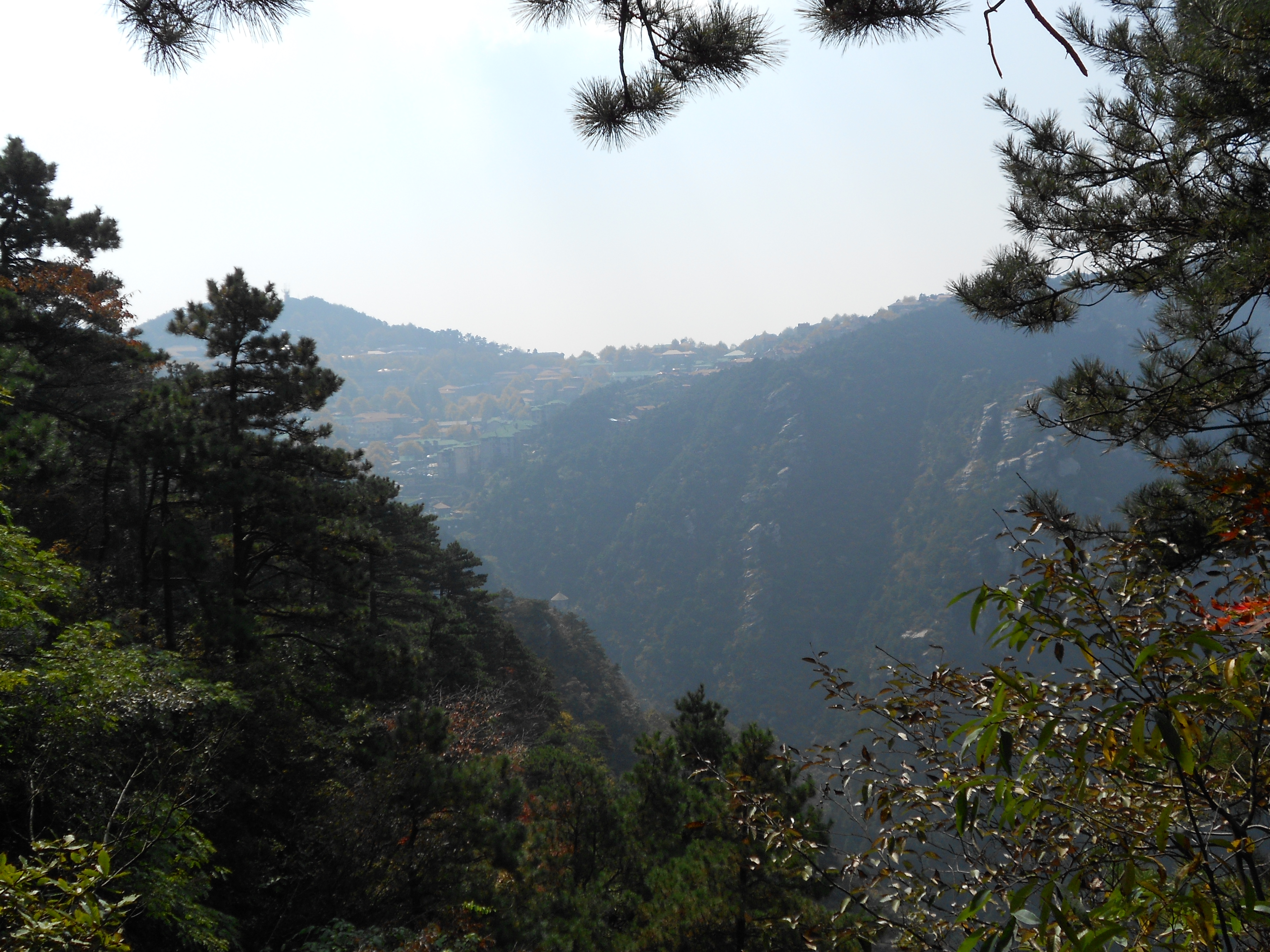 庐山风景名胜区(庐山风景名胜区管理局官网)