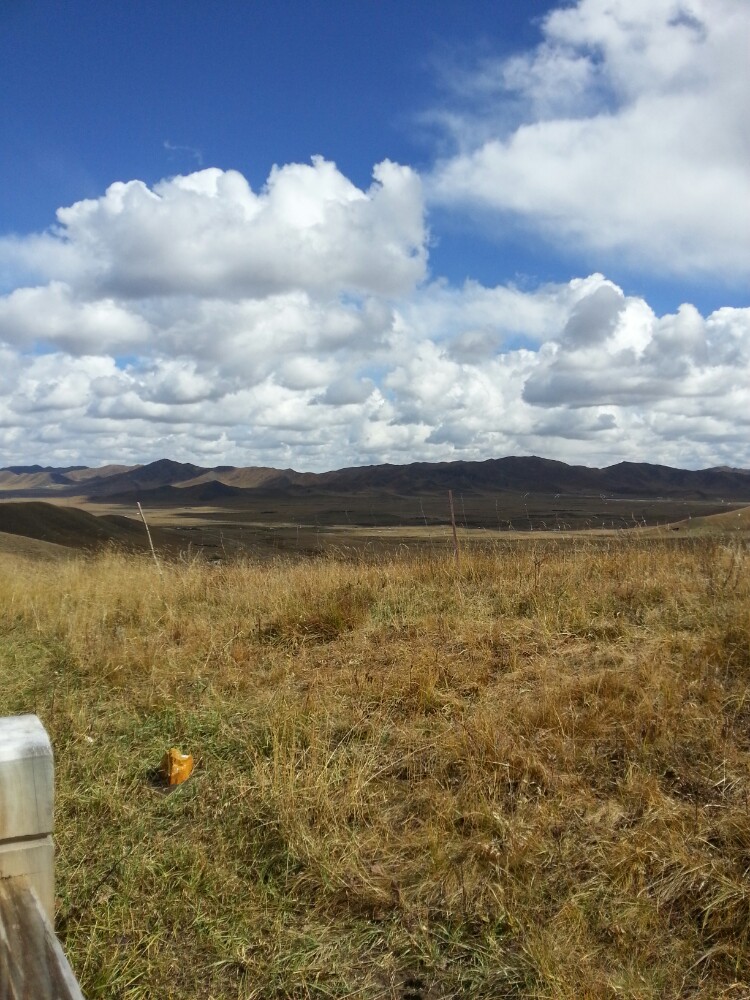 红原—若尔盖大草原