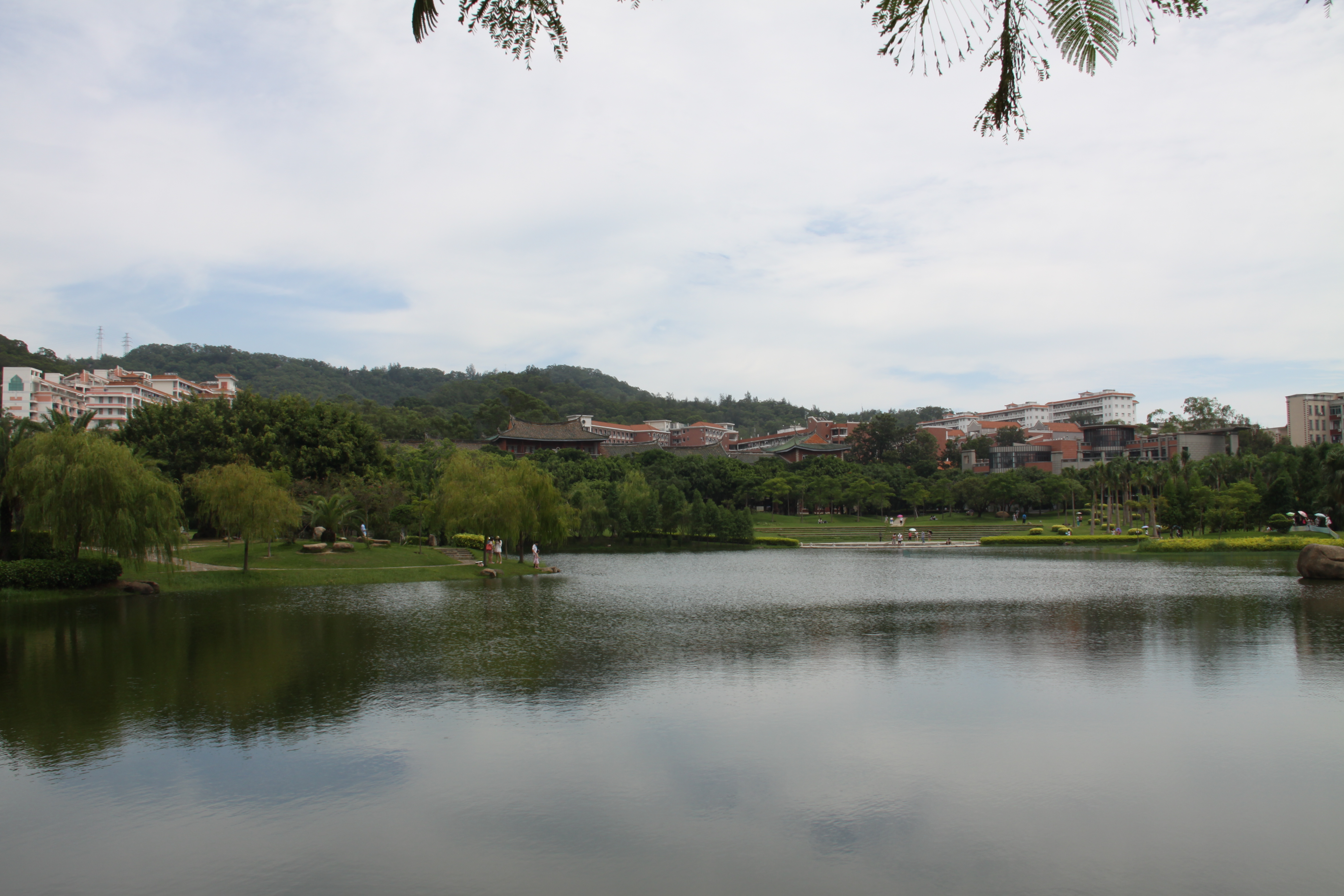 【携程攻略】厦门厦门大学芙蓉湖适合朋友出游旅游吗,厦门大学芙蓉湖