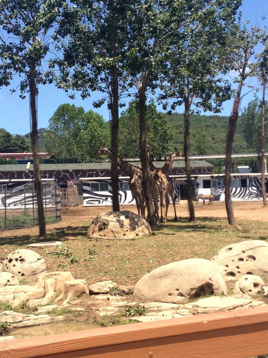 大連森林動物園