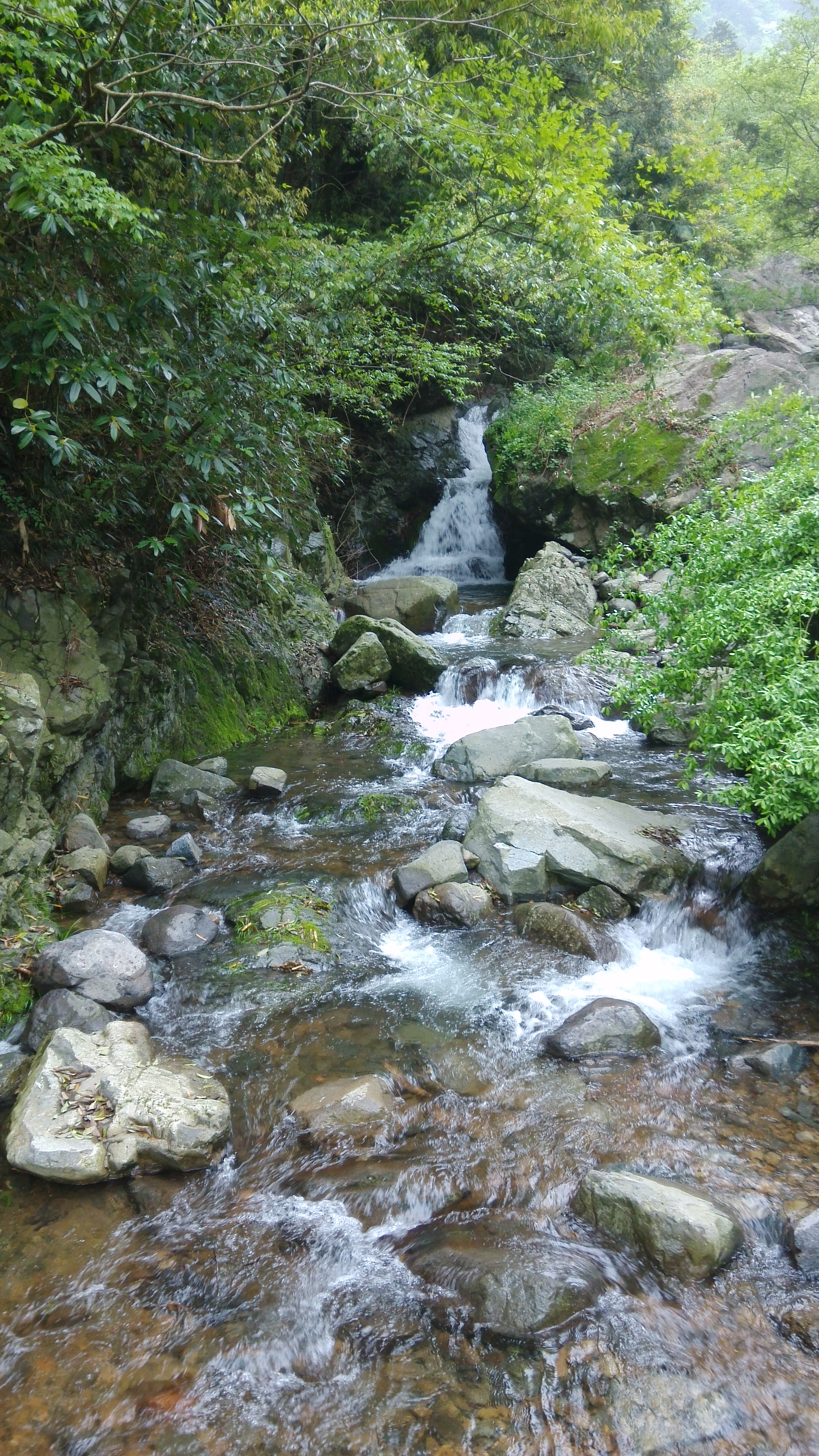 2019太湖源_旅遊攻略_門票_地址_遊記點評,臨安旅遊景點推薦 - 去哪兒