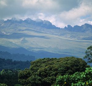 肯尼亚山国家公园旅游景点图片