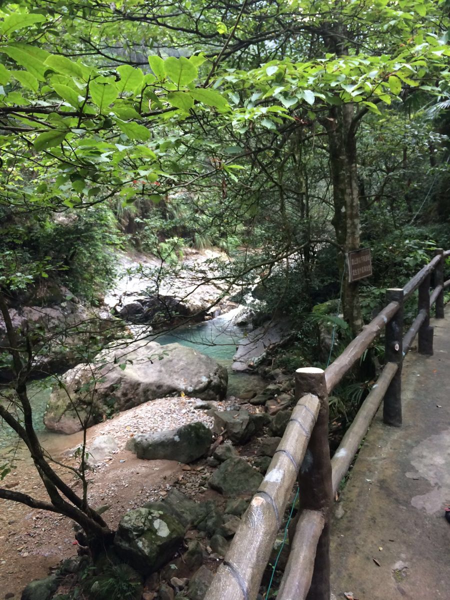 2019牛頭山國家森林公園_旅遊攻略_門票_地址_遊記點評,武義旅遊景點