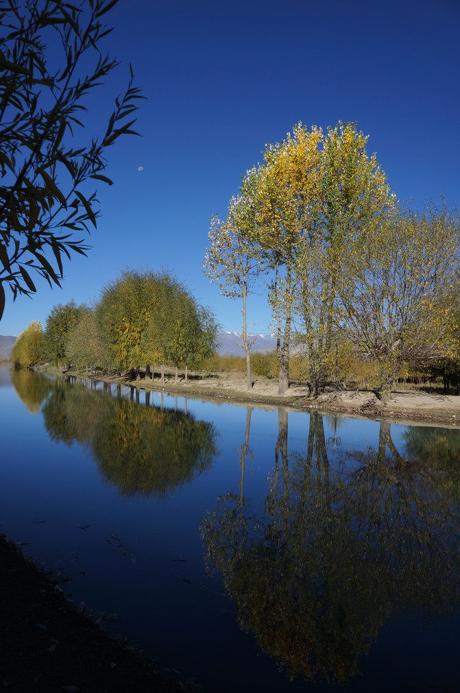 老老小小深秋西藏七日游(成都飞林芝进,拉萨飞