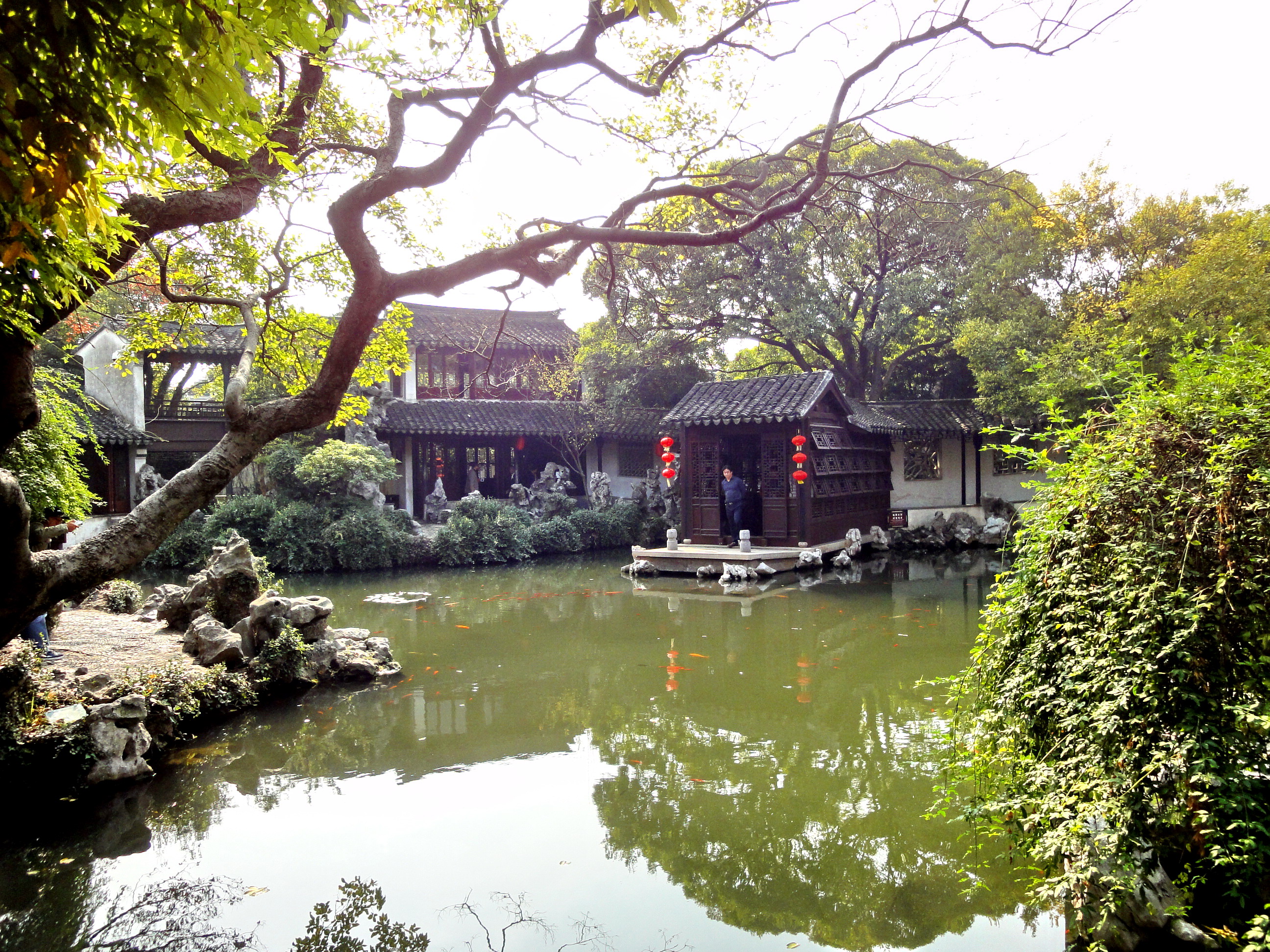 藏在江南古镇中的世界文化遗产，苏州退思园堪称小型园林的典范