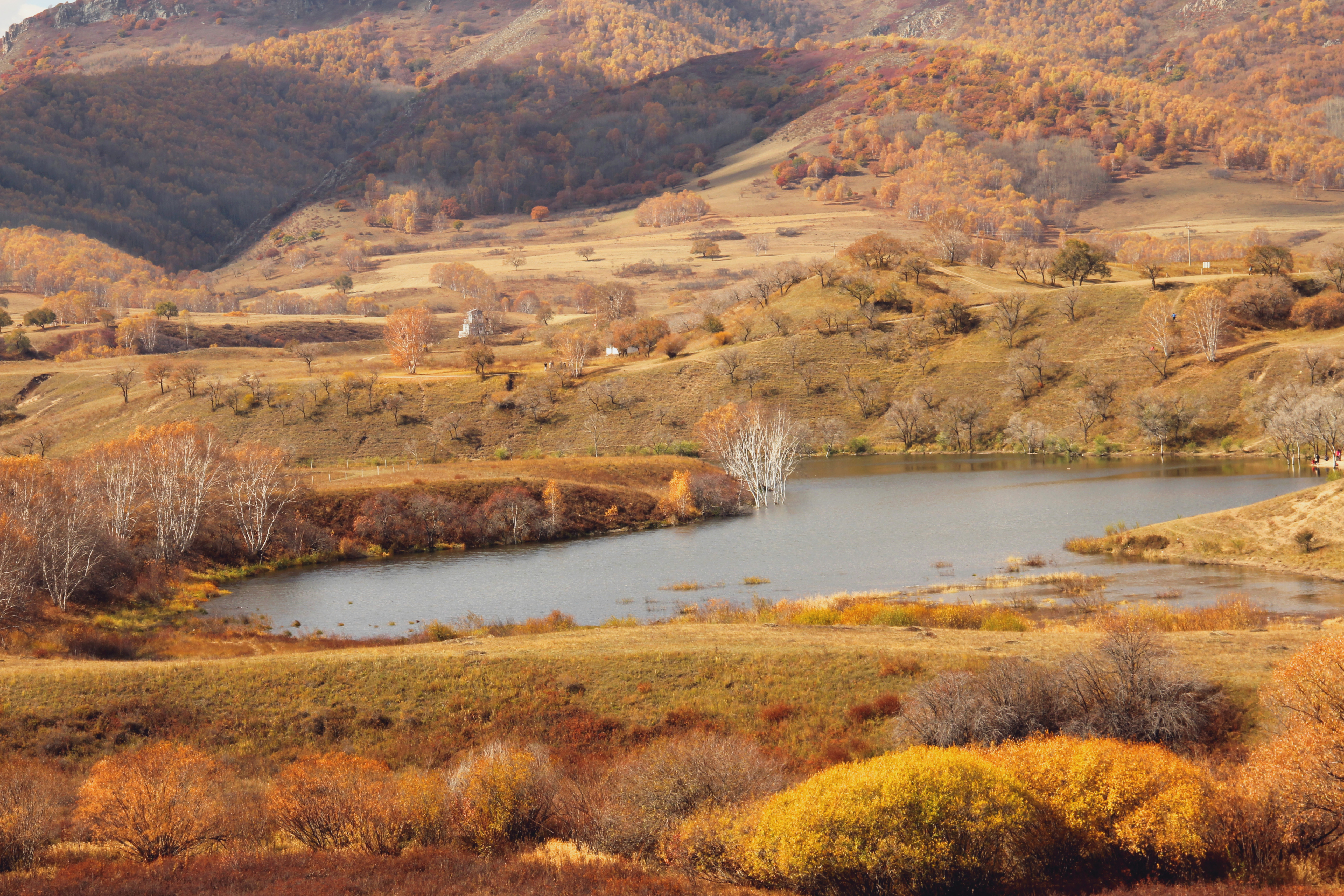 坝国家森林公园好玩吗,河北塞罕坝国家森林公园景点怎么样_点评_评价