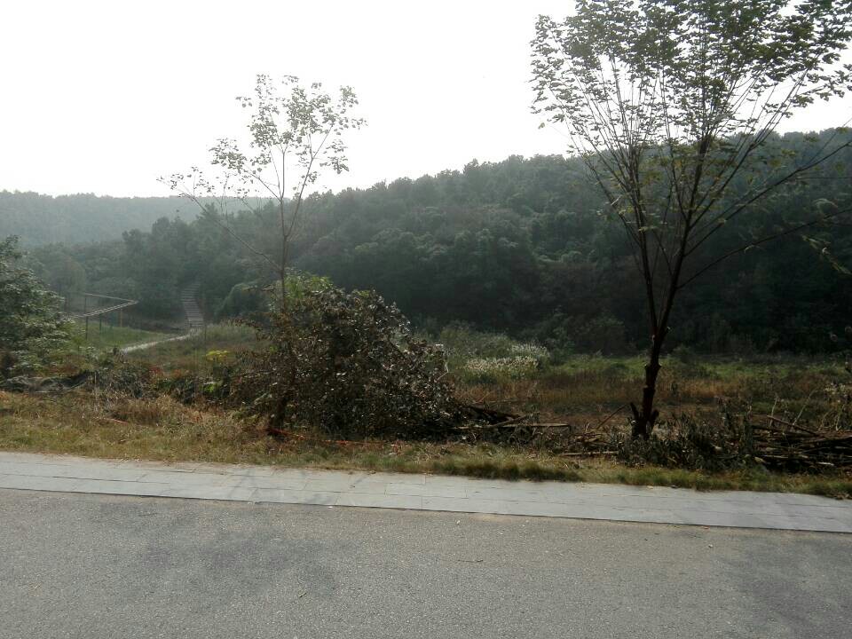 紫蓬山國家森林公園