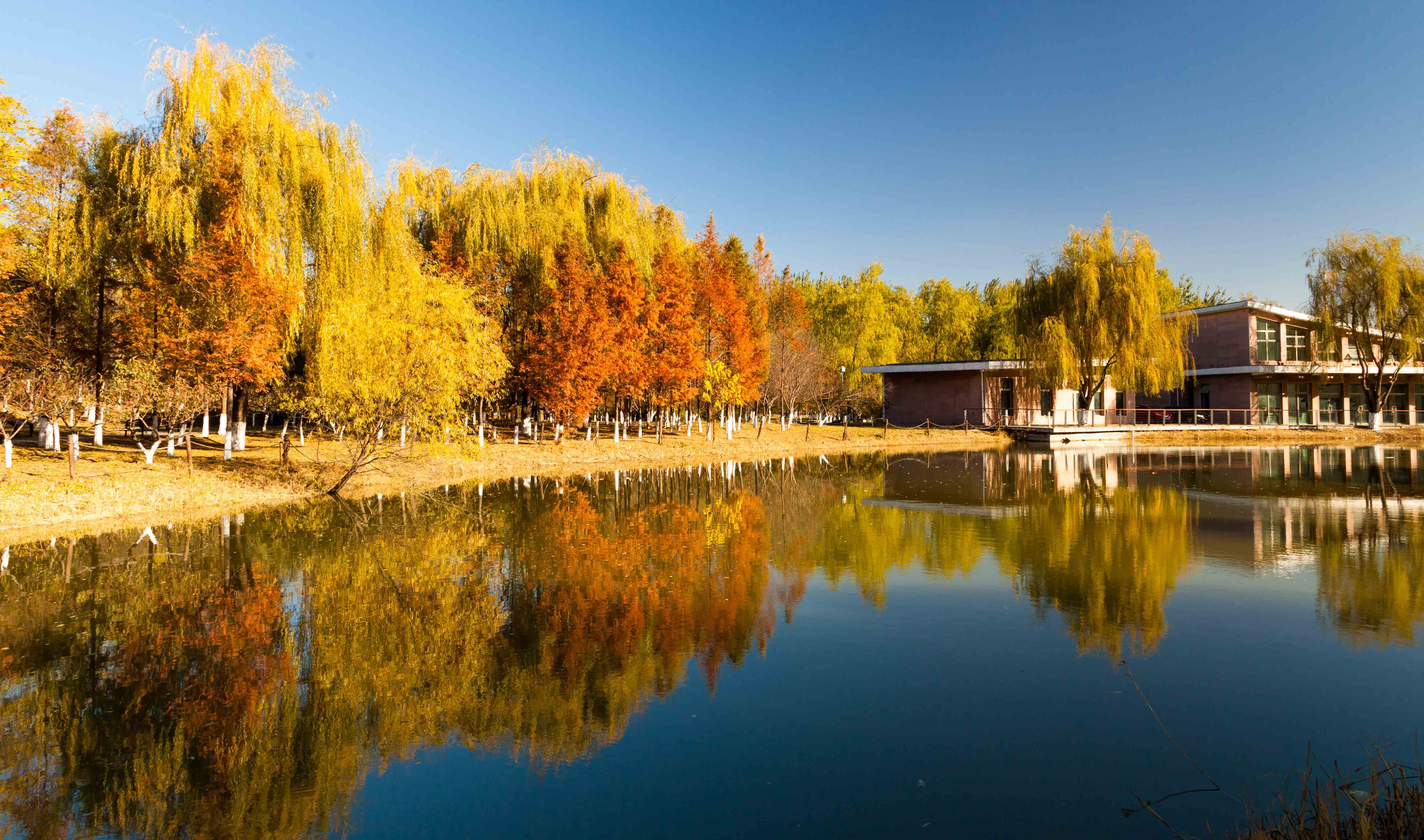 奧林匹克公園