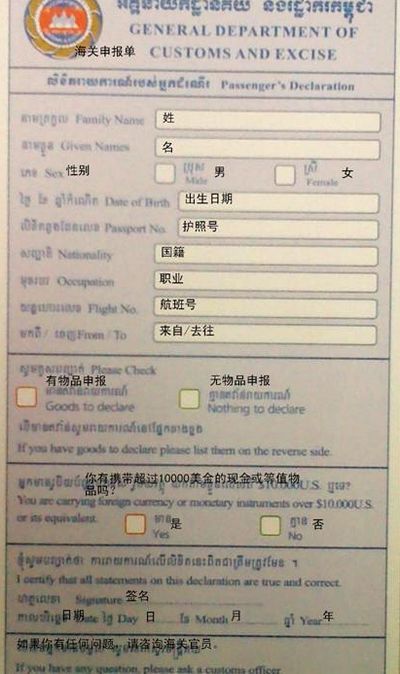 柬埔寨入境表填写范本图片