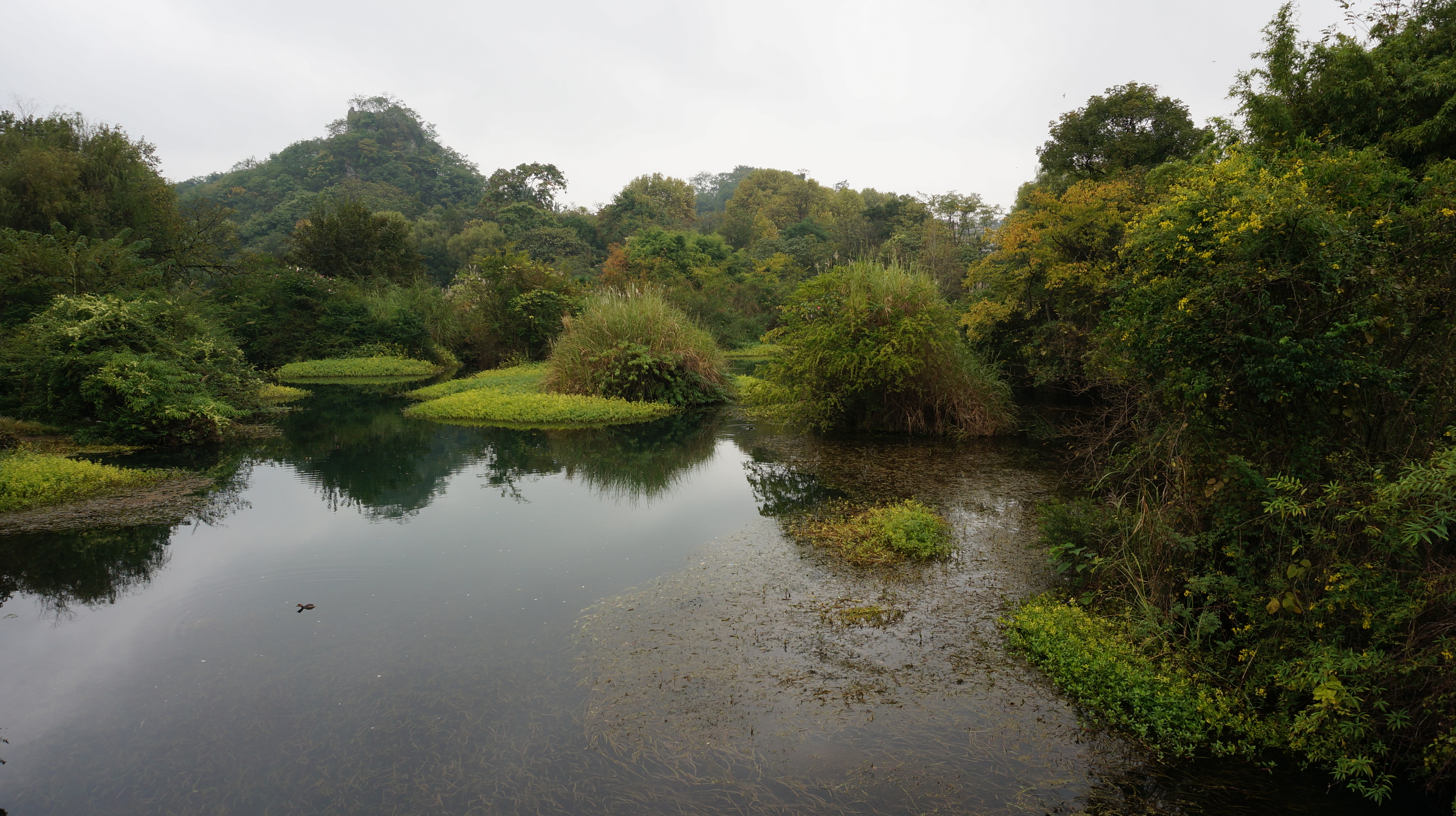 花溪公園青巖古鎮